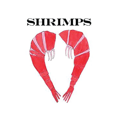 Shrimps (brand)