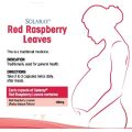 MENSTRUAL AND MENOPAUSE SUPPORT - Solaray Red Raspberry Leaves - 100 Capsules