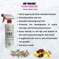 Share:   Favorite (3) OBF ORGANIC PLANT BOOSTER (500 ML) TO PROMOTE FERTILITY AND STRUCTURE | FOLIAR LIQUID FERTILIZER | FAST GROWTH FOR VEG