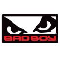 Bad Boy (brand)