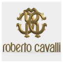 Roberto Cavalli (company)