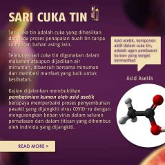 OLIVE HOUSE - Sari Cuka Teen Premium 500 ml (Fiq Vinegar) + Free Gift Cuka Tin Cuka Kayu Organik Asli Cuka Buah bagus sebagai detoks, diet, melangsingkan badan, kurus dan masalah jerawat dari Turki