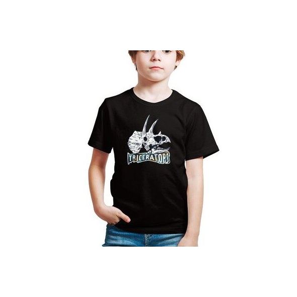 Dinosaur Tryceraptors kids t-shirt boy tshirts Kids girl t-shirt baju kanak kanak baju budak Kizmoo Ready Stock